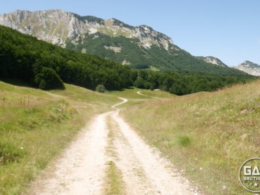 Górska droga w Bośni