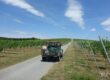 Gaz 69 w chorwackiej winnicy