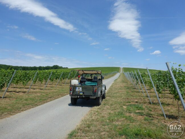 Naszą bałkańską przygodę zaczęliśmy we wschodniej Chorwacji. Winnice okazały się ciekawym miejscem, wartym odwiedzenia. Zwiedzanie Gazem 69 bez plandeki było przyjemnością w najczystszej postaci :) Gaz 69 w chorwackiej winnicy