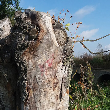 Geocaching to poszukiwanie skrytek